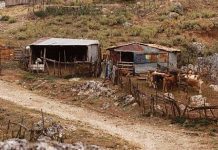 Εξώδικα για δάνεια του παρελθόντος σε αγρότες και κτηνοτρόφους του Έβρου και της Ροδόπης