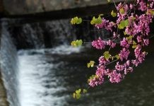 Καλός καιρός σήμερα Τρίτη με λίγες νεφώσεις