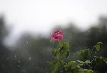 Αίθριος καιρός σήμερα Τρίτη