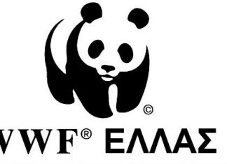 Ζητείται Διοικητικός Συνεργάτης στην ΜΚΟ WWF Ελλάς, προγράμματος Έβρου
