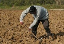 Σοκ για όσους έχουν αγροτικό εισόδημα -«Μαχαίρι» στη σύνταξη ή αύξηση εισφορών