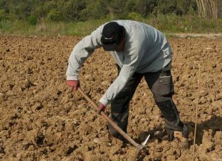 Σοκ για όσους έχουν αγροτικό εισόδημα -«Μαχαίρι» στη σύνταξη ή αύξηση εισφορών