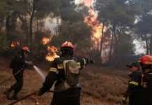 Έψηνε παϊδάκια και… έβαλε φωτιά σε δασική έκταση στην Αλεξανδρούπολη