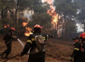 Έψηνε παϊδάκια και… έβαλε φωτιά σε δασική έκταση στην Αλεξανδρούπολη