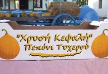Με διπλάσια στρέμματα επιστρέφει στη Θράκη το πεπόνι ποικιλίας Αλντιμπάς
