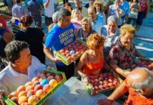 Διανομή ροδάκινων από το Πολυκοινωνικό Δήμου Αλεξανδρούπολης