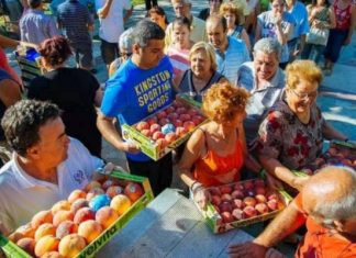 Διανομή ροδάκινων από το Πολυκοινωνικό Δήμου Αλεξανδρούπολης