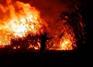 Ροδόπη: Πύρινη λαίλαπα σαρώνει δασική έκταση στη Νέα Σάντα