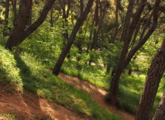 Δυο παιδιά ανασύρθηκαν νεκρά από ρεματιά στην Κομοτηνή