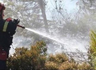 Έσβησε η φωτιά που εκδηλώθηκε στην Κίρκη