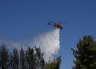 Υπό έλεγχο η φωτιά στο δάσος της Λευκίμης – Δαδιάς (ακούστε)