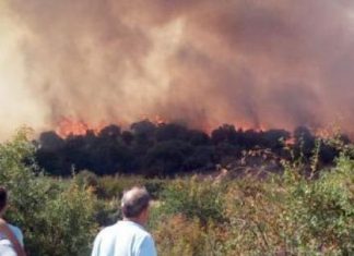 Φωτιά στο δάσος Λευκίμης – Δαδιάς – Αυτή τη στιγμή επιχειρούν 82 πυροσβέστες και 21 οχήματα