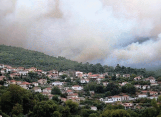 Αιτήσεις για αποζημιώσεις από τις φωτιές της Θάσου