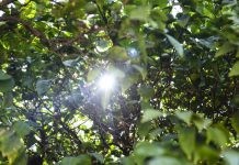 Αίθριος ο καιρός της Δευτέρας με βοριαδάκια
