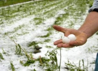 Σύσκεψη για τα προβλήματα από τη χαλαζόπτωση στο Τρίγωνο