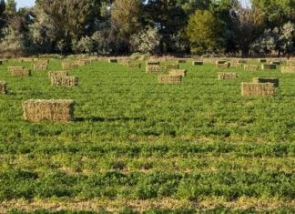 Δήμος Αλεξανδρούπολης: Δηλώσεις ζημιάς ΕΛΓΑ για βροχόπτωση στις Φέρες έως 29 Ιουνίου