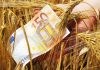Πανελλαδική Επιτροπή Μπλόκων: «Να σταματήσει το πετσόκομμα των πληρωμών μέσω του monitoring»