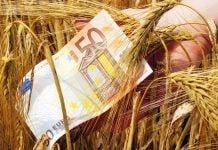 Πανελλαδική Επιτροπή Μπλόκων: «Να σταματήσει το πετσόκομμα των πληρωμών μέσω του monitoring»