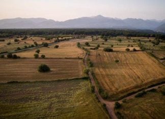Νέες ευνοϊκές ρυθμίσεις για τον πρωτογενή τομέα – Παράταση έως 31 Δεκεμβρίου 2026
