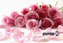 Τo τριαντάφυλλο και τα μυστικά του