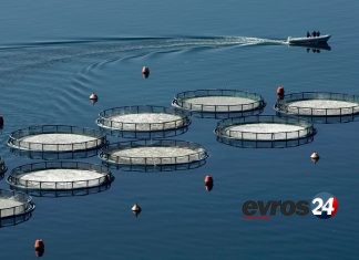 Πρόσκληση 4 εκατ. ευρώ για τον χωροταξικό σχεδιασμό των υδατοκαλλιεργειών