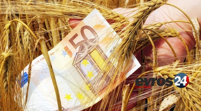 Αυξημένες τιμές στις συνδεδεμένες ενισχύσεις 2025 – Πληρωμές διαφορών έως τέλος Ιουνίου