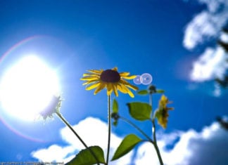 Καιρός: Αίθριος με θερμοκρασίες έως 36°C – Βροχές και καταιγίδες από το βράδυ σε Μακεδονία και Θράκη
