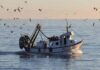 Οι προϋποθέσεις για την ένταξη αλιέων στο πρόγραμμα στήριξης 16 εκατ. € που ανακοίνωσε ο ΥπΑΑΤ, Μαργαρίτης Σχοινάς