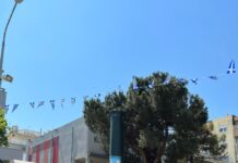Υπόθεση Δημήτρη Δημάκη: Τρεις καταδίκες για τον θάνατο του 34χρονου στον ρομποτικό κάδο της Αλεξανδρούπολης