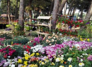 Ορεστιάδα: Από 30 Απριλίου έως 3 Μαΐου η 21η Ανθοκομική Έκθεση και Έκθεση Βιβλίου