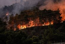 14 εκατ. ευρώ για τις μεγάλες πυρκαγιές του 2023 στον Έβρο – Πάνω από 67 εκατ. ευρώ για την αποκατάσταση αγροτικών εκμεταλλεύσεων σε όλη τη χώρα