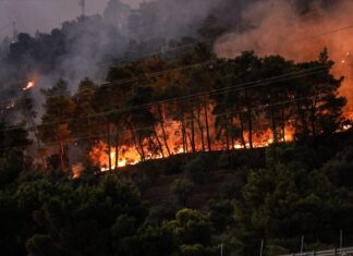 14 εκατ. ευρώ για τις μεγάλες πυρκαγιές του 2023 στον Έβρο – Πάνω από 67 εκατ. ευρώ για την αποκατάσταση αγροτικών εκμεταλλεύσεων σε όλη τη χώρα