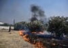 Έβρος: Ξεκινούν οι τελικές εκκαθαρίσεις για τις αποζημιώσεις των πυρόπληκτων παραγωγών