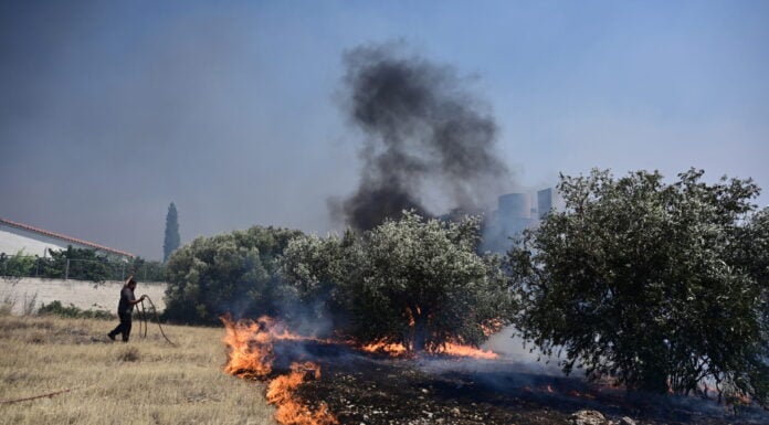 Έβρος: Ξεκινούν οι τελικές εκκαθαρίσεις για τις αποζημιώσεις των πυρόπληκτων παραγωγών