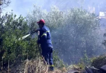Ορεστιάδα: Υπενθύμιση για τις απαγορεύσεις της αντιπυρικής περιόδου – Τι ισχύει για πολίτες και αγρότες
