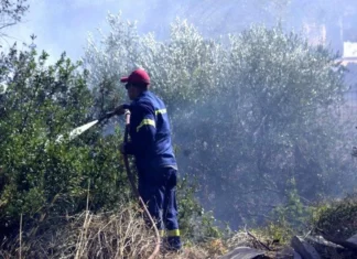 Ορεστιάδα: Υπενθύμιση για τις απαγορεύσεις της αντιπυρικής περιόδου – Τι ισχύει για πολίτες και αγρότες