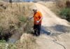 ΠΑΜΘ: Πιλοτικά όλο τον χρόνο το πρόγραμμα καταπολέμησης κουνουπιών – Ενισχύεται η επιτήρηση για τον ιό του Δυτικού Νείλου