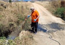ΠΑΜΘ: Πιλοτικά όλο τον χρόνο το πρόγραμμα καταπολέμησης κουνουπιών – Ενισχύεται η επιτήρηση για τον ιό του Δυτικού Νείλου