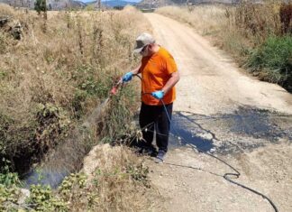 ΠΑΜΘ: Πιλοτικά όλο τον χρόνο το πρόγραμμα καταπολέμησης κουνουπιών – Ενισχύεται η επιτήρηση για τον ιό του Δυτικού Νείλου