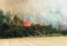 Υπό έλεγχο η φωτιά στην Εργάνη Ροδόπης – Δύο συλλήψεις για πρόκληση πυρκαγιών σε Ροδόπη και Καβάλα