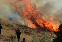 Φωτιές σε Ροδόπη και Έβρο μεταξύ των 83 πυρκαγιών του τελευταίου 48ώρου – 7 συλλήψεις για εμπρησμό από αμέλεια