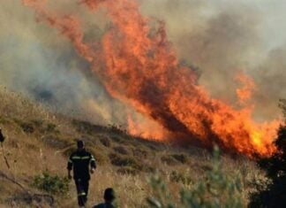 Φωτιές σε Ροδόπη και Έβρο μεταξύ των 83 πυρκαγιών του τελευταίου 48ώρου – 7 συλλήψεις για εμπρησμό από αμέλεια