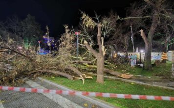 Αλεξανδρούπολη: Πλήρης κινητοποίηση του Δήμου μετά τον ανεμοστρόβιλο – Προτεραιότητα η ασφάλεια και τα πάρκα