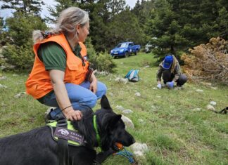 Σοβαρή απειλή για την άγρια πανίδα: 92 νεκρά ζώα και 42 δηλητηριασμένα δολώματα εντόπισαν οι ΕΜΑΔΔ του ΟΦΥΠΕΚΑ το 2025