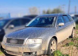 Σύλληψη δύο διακινητών στη Ροδόπη – Μετέφεραν 8 μη νόμιμους μετανάστες