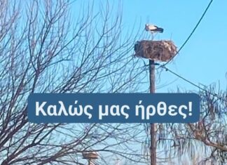 Έβρος: Στις προετοιμασίες για την άφιξη των πρώτων πελαργών στο Ευρωπαϊκό Χωριό Πελαργών
