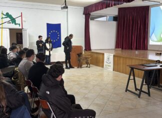 Το Γενικό Λύκειο Τυχερού φιλοξένησε την Ομάδα Δίωξης Ναρκωτικών για δράση πρόληψης