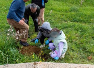 Σαμοθράκη: Πάνω από 100 δέντρα και θάμνοι φυτεύτηκαν με τη συμμετοχή εθελοντών