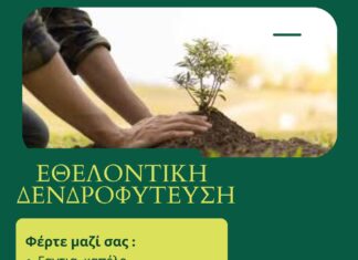 Σαμοθράκη: Μεγάλη εθελοντική δεντροφύτευση από τον Πολιτιστικό Σύλλογο «Σαονησος»