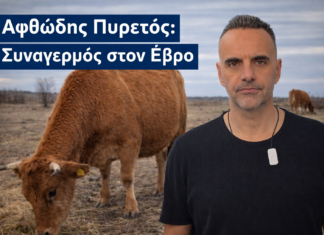 Αφθώδης πυρετός στη Λέσβο: Νέος κίνδυνος για την κτηνοτροφία – Στο επίκεντρο ο Έβρος